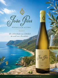 João Pires 2024 | Witte Wijn (Moscatel) | Península de Setúbal, Portugal