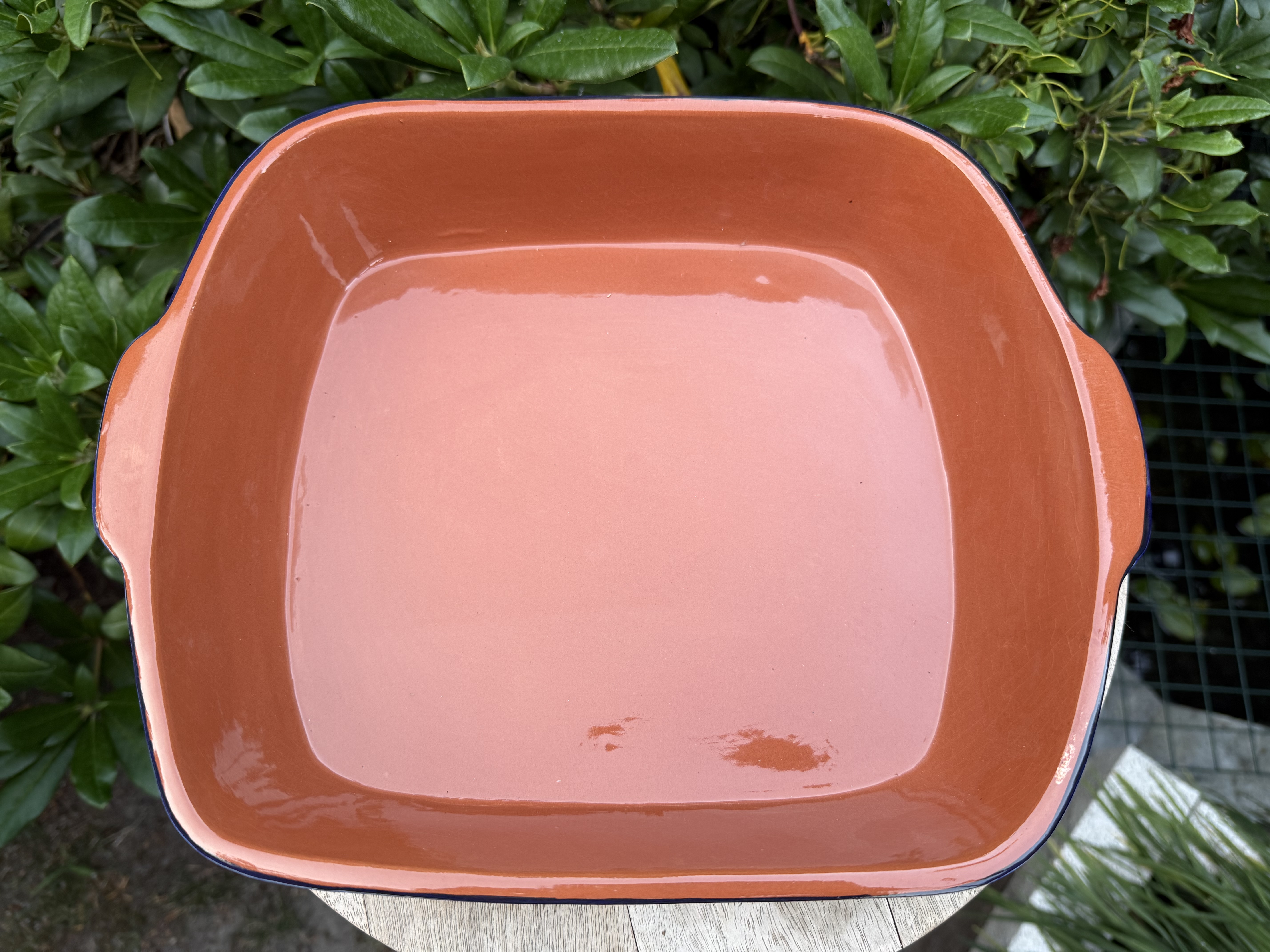 Langwerpige ovenschaal 3-4 pers. (p-aqm)