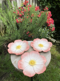 Reliëf bloem bord Ø21cm / Papaver (R.25)