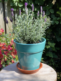 Bloempot met schotel nr.3 Millennium / mint turquoise / groot