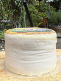 Schapenkaas - lepelkaas Quinta do Granjão / Queijo de ovelha amanteigado +/- 450 g.