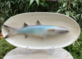 Zandkleur ovale schaal 40x20cm met geïntegreerde Zeebaars + gratis bordenspanner