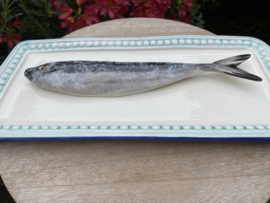 Witte vierkante schaal met turkooisblauwe rand 37x17cm met geïntegreerde Horsmakreel + gratis bordenspanner