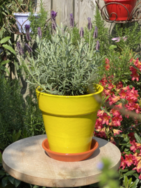 Bloempot met schotel nr.3 Millennium / felgeel / groot