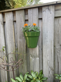 Hangende bloempot Madeira / mosgroen / groot