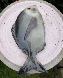 Lichtroze rond bord Ø30cm met geïntegreerde Japanse goudbrasem + gratis  bordenspanner