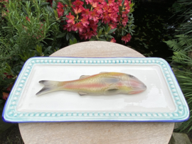 Witte vierkante schaal met turkooisblauwe rand 37x17cm met geïntegreerde Mul + gratis bordenspanner