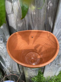 Hangende bloempot Avenca (medium)
