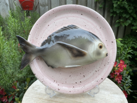 Lichtroze rond bord Ø30cm met geïntegreerde Japanse goudbrasem + gratis  bordenspanner