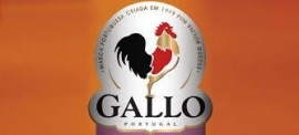 Vinagre Gallo / witte wijnazijn Gallo 250ml