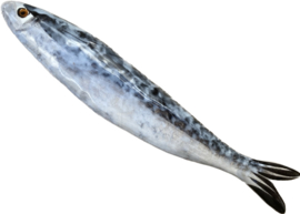 Keramische sardine Alfama 17x3,5cm