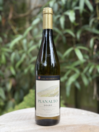 Planalto Douro Reserva 2023  / witte wijn