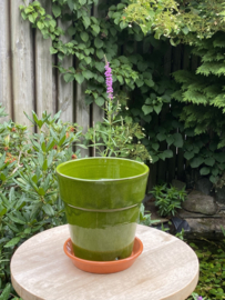 Bloempot met schotel Queijas / olijfgroen / medium