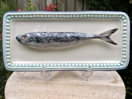 Witte vierkante schaal met turkooisblauwe rand 37x17cm met geïntegreerde Horsmakreel + gratis bordenspanner