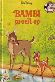 Disney Boekenclub - 6 boeken naar keuze