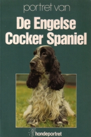 Portret van de Engelse Cocker Spaniel