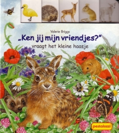 Valerie Briggs - 'Ken jij mijn vriendjes?' vraagt het kleine haasje [kartonboekje]