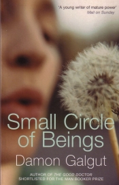 Damon Galgut - Small Circle of Beings