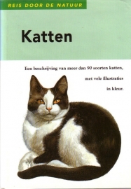 Katten