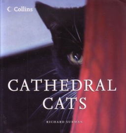 Richard Surman - Cathedral Cats