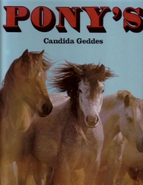 Candida Geddes - Pony's