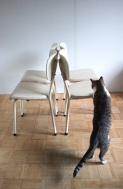 Brabantia stoelen / Brabantia chairs [sold]
