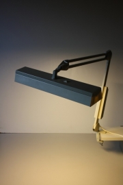 Industriele werk lamp / Industrial work lamp