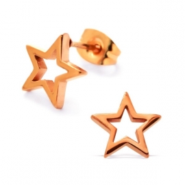 steel rose gold plated star earrings