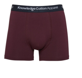 KCA || MAPLE 1 pack underwear: fig