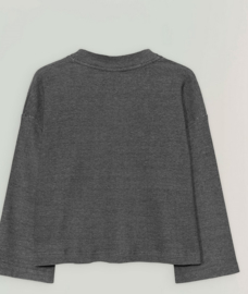 Elvine || LIELLA pull: grey melange