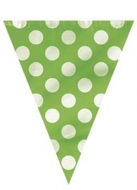 Vlaggenlijn Polka Dots Groen