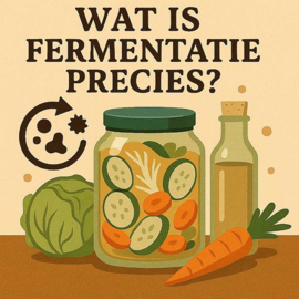 Wat is fermentatie?