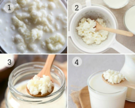 Zelf melkkefir maken