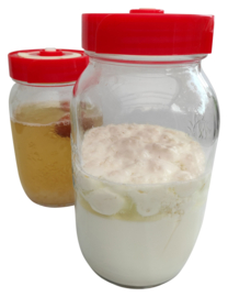 Mason jar fermentatiepot met luchtslot - M of L