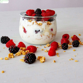 Ferment voor 30 L zelfgemaakte yoghurt