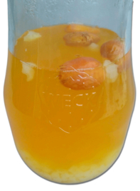 Grote fermentatiepot - L of  XL