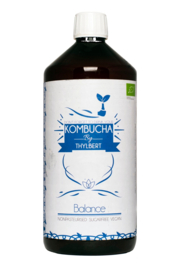 Kombucha Balance