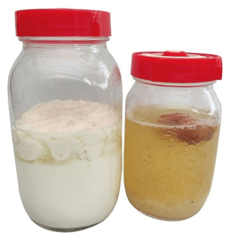 Mason jar fermentatiepot met luchtslot - M of L