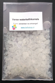 Verse waterkefirkorrels