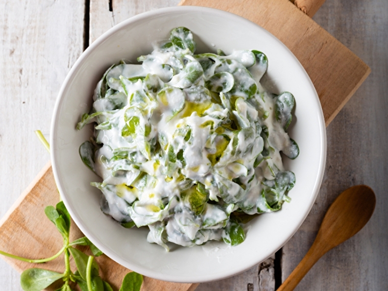 De winterpostelein salade met kefirkwark, hangop of viili yoghurt