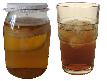 Een kombucha scoby die in de thee hyaluronzuur aanmaakt, zeer geschikt voor huidverzorging.