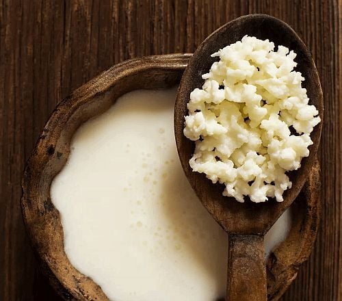 Zelf melkkefir maken met yoghurtplantje - dus melkkefirkorrels kopen - geeft heerlijke probiotische kefir yoghurt. Eenmalig melkkefir kopen, oneindig lang gebruiken.