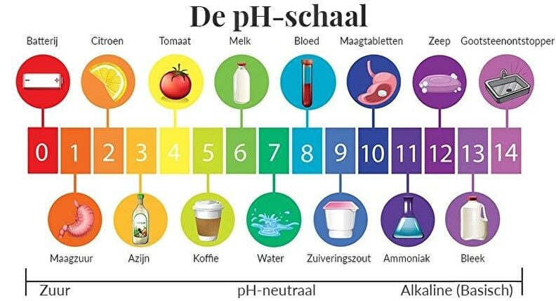 pH-waarde schaalverdeling met voorbeelden, die de pH meter kan meten.