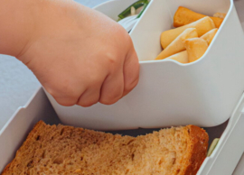 Mepal lunchbox campus - Forest friends