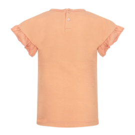 Koko Noko-Meisjes T-shirt ss-Faded oranje