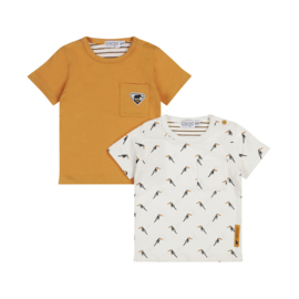 Dirkje-Jongens t-shirts ss-2 pack-Camel