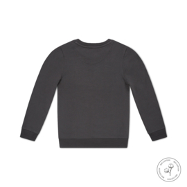 Koko Noko-Jongens sweater-Neill- ls- Bio Cotton-Grijs