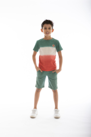 B'Chill-Jongens t-shirt ss Charles-Meerdere kleuren