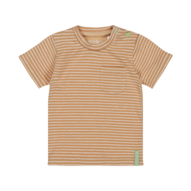 Dirkje-Baby Jongens T-Shirt ss-Camel