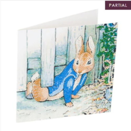 Craft Buddy- Card Kit-Diamond Painting Peter Rabbit Under the Fence 18x18cm